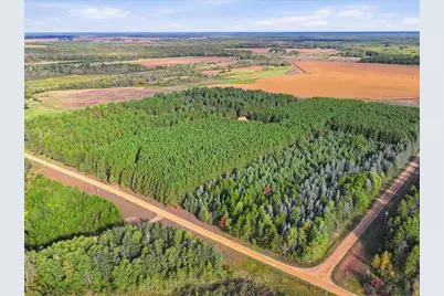 Parcel 2 (10 Acres) 255th Avenue, Staples, MN 56479 - Photo 3
