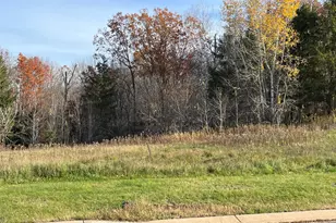 Lot 6 Wilderness Hills Ln, Luck, WI 54853 - Photo 1