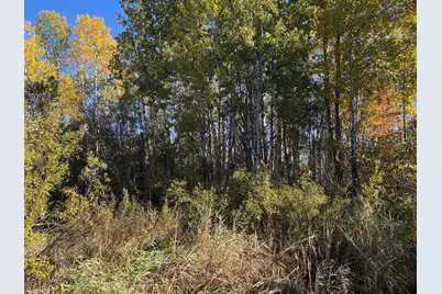 28532 460th Lane, Palisade, MN 55760 - Photo 11