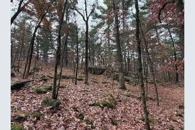 Tbd 85th Street, Frederic, WI 54837 - Photo 29