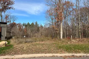 Lot 14 Wilderness Hills Ln, Luck, WI 54853 - Photo 1