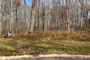 Lot15 Wilderness Hills Ln, Luck, WI 54853 - Photo 1