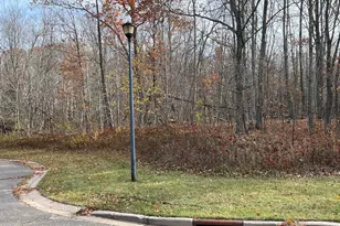 Lot 17 Wilderness Hills, Luck, WI 54853 - Photo 1