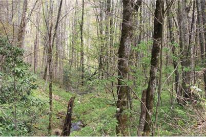 0000 Big Spring Trail #61, Qualla, NC 28719 - Photo 1