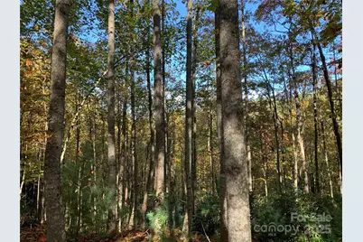 Lot# 556 Timber Rock Drive, Lenoir, NC 28645 - Photo 7