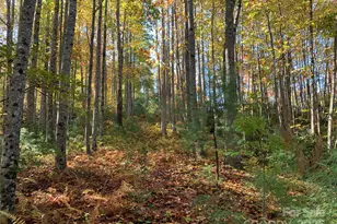Lot# 556 Timber Rock Dr, Lenoir, NC 28645 - Photo 1