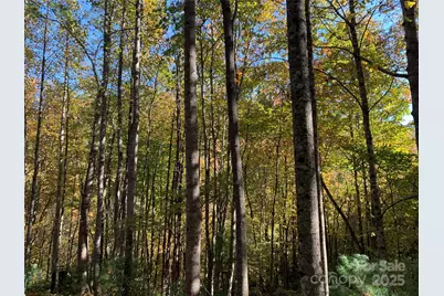 Lot# 556 Timber Rock Drive, Lenoir, NC 28645 - Photo 5