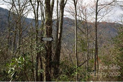 Lot 81 Shangri Lane #81, Qualla, NC 28719 - Photo 19