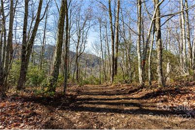 Lot 81 Shangri Lane #81, Qualla, NC 28719 - Photo 3