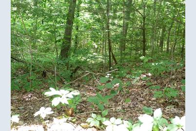 201 Bent Pine Trace #180, Hendersonville, NC 28739 - Photo 7