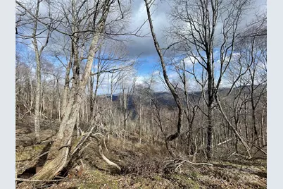 Lot #39 Ridge Top Circle, Clyde, NC 28721 - Photo 27