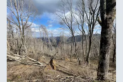 Lot #39 Ridge Top Circle, Clyde, NC 28721 - Photo 3