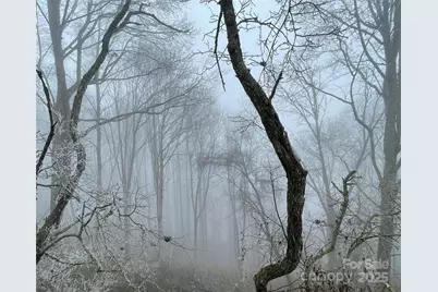 Lot #39 Ridge Top Circle, Clyde, NC 28721 - Photo 19