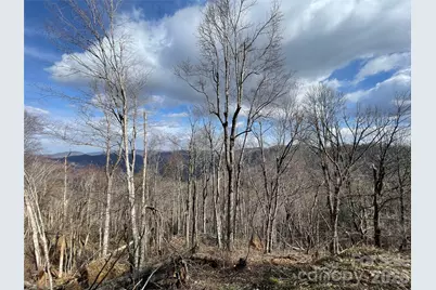 Lot #39 Ridge Top Circle, Clyde, NC 28721 - Photo 3
