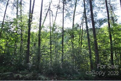 Lot 19 Gastons Bee Gum Road #19, Brevard, NC 28712 - Photo 7