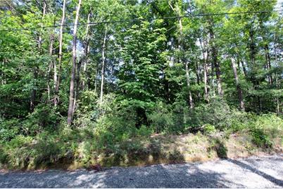 Lot 19 Gastons Bee Gum Road #19, Brevard, NC 28712 - Photo 11