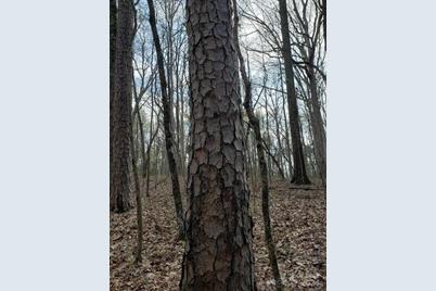 0 Deal Road, Mooresville, NC 28115 - Photo 35