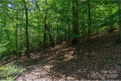 0 Mills River Way #53R, Horse Shoe, NC 28742 - Photo 9