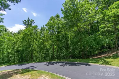 0 Mills River Way #53R, Horse Shoe, NC 28742 - Photo 11