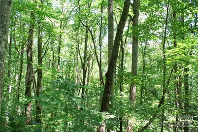 Tbd Greenyard Trail #7, Candler, NC 28715 - Photo 19