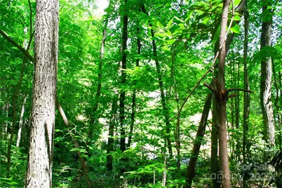 Tbd Greenyard Trail #7, Candler, NC 28715 - Photo 21