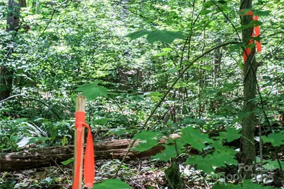 Tbd Greenyard Trail #7, Candler, NC 28715 - Photo 17