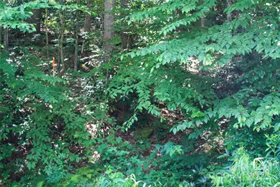 Tbd Greenyard Trail #2, Candler, NC 28715 - Photo 13