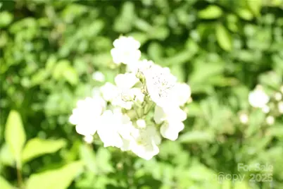 Tbd Greenyard Trail #2, Candler, NC 28715 - Photo 3