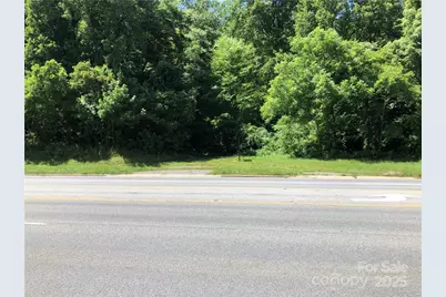 10 Acres Charlotte Highway, Asheville, NC 28803 - Photo 7