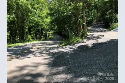 10 Acres Charlotte Highway, Asheville, NC 28803 - Photo 29