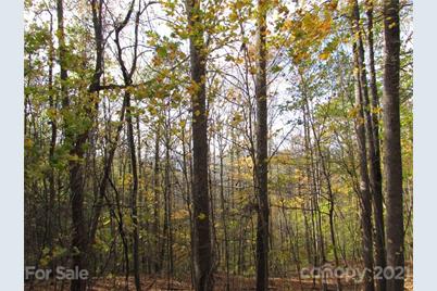 E- 15 Red Wolf Run None, Mars Hill, NC 28754 - Photo 9