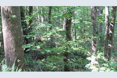 E- 17 Red Wolf Run None, Mars Hill, NC 28754 - Photo 5