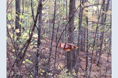 E- 20 Red Wolf Run None, Mars Hill, NC 28754 - Photo 7