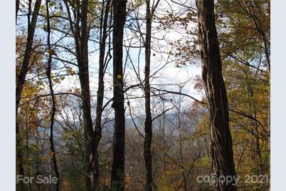 E- 20 Red Wolf Run None, Mars Hill, NC 28754 - Photo 9