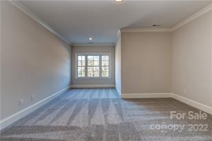 313 Audrey Pl, Charlotte, NC 28226 - Photo 29