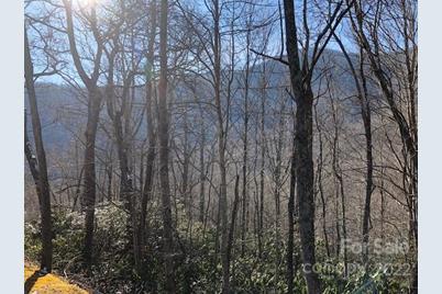 99999 Winding Poplar Road #806, Black Mountain, NC 28711 - Photo 5