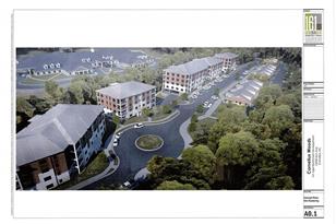 21024 Cornelia Grv Wy, Cornelius, NC 28031 - Photo 3