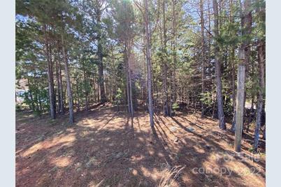 Next To 1670 Buck Oak Road, Lincolnton, NC 28092 - Photo 3