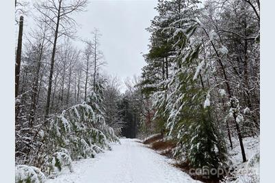 58 Pilot Ridge Road #29, Nebo, NC 28761 - Photo 29