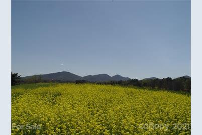 1293 Bear Creek Road, Leicester, NC 28748 - Photo 3