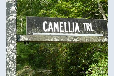 30 Abby Falls Drive #30, Rosman, NC 28772 - Photo 33