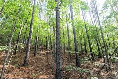 0 Chasewood Drive #8, Rutherfordton, NC 28139 - Photo 5