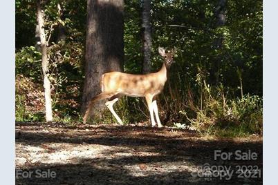 301 Otter Lane #301, Lake Lure, NC 28746 - Photo 13