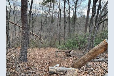 301 Otter Lane #301, Lake Lure, NC 28746 - Photo 5