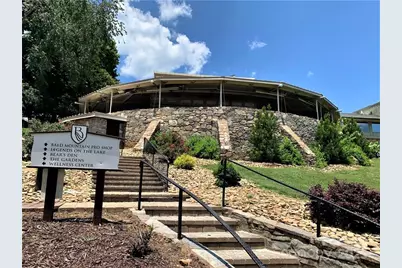 31 High Rock Ridge #31, Lake Lure, NC 28746 - Photo 35