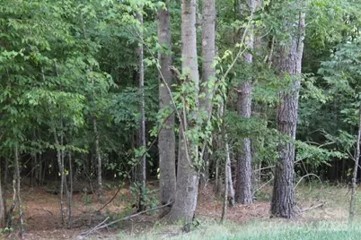 218 Table Rock Trace NW #166, Valdese, NC 28690 - Photo 13