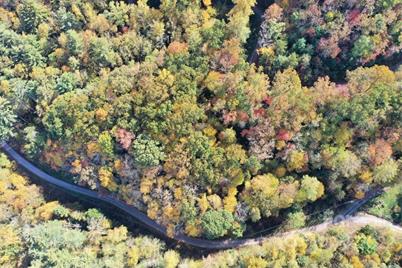 Lot64 Mountain Forest Estates Road, Jackson, NC 28779 - Photo 3