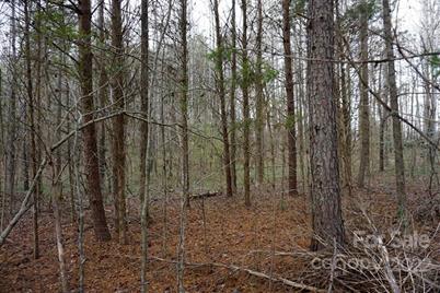 9 Ac Burree Road, Clover, SC 29710 - Photo 9