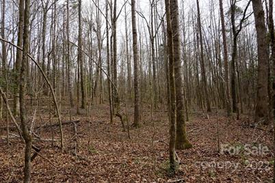 9 Ac Burree Road, Clover, SC 29710 - Photo 3