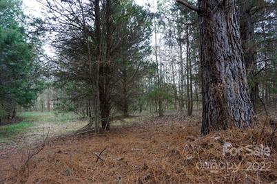 9 Ac Burree Road, Clover, SC 29710 - Photo 7